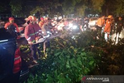 Hujan lebat di Bandung akibatkan pohon tumbang timpa mobil