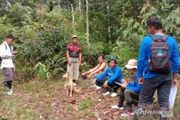 Masyarakat "Simarboru" bangun jaringan antardesa dalam mitigasi dan kelola koridor orangutan