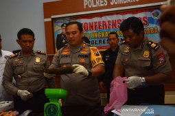 Ungkap peredaran ganja di Jombang