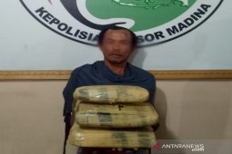 Polisi amankan 5 Kg ganja dari BHL Dinas Kebersihan