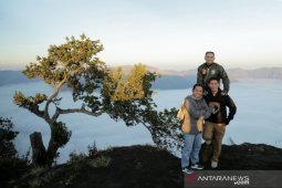 Pemkab Lumajang benahi infrastruktur menuju wisata Negeri Atas Awan Puncak B-29