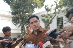 Menteri BUMN umumkan pembagian tugas wakil menteri