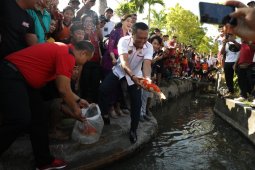 Bupati Gianyar tebar benih ikan koi di Desa Keramas