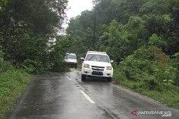 Pohon tumbang nyaris tutup jalan Batanghari-Jambi lintas Ness