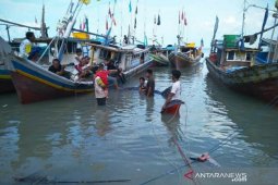 Nelayan Bangka Selatan temukan ikan hiu paus terdampar