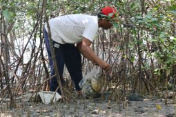 Wali Kota Surabaya didesak keluarkan Perwali diet plastik sekali pakai