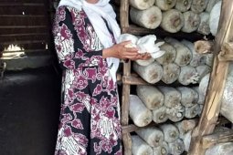 Sejahtera Berkat Budidaya Jamur Tiram