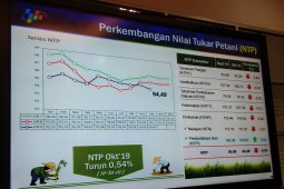 Nilai tukar petani Kalsel Oktober turun