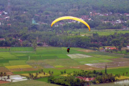 Kejuaraan paralayang se-Indonesia di Jember diharapkan dongkrak pariwisata dan ekonomi