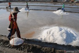 Harga garam di akhir musim