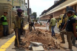Penebangan pohon di trotoar langgar aturan