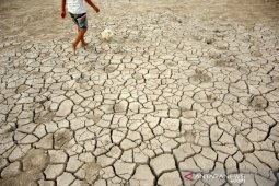 Akibat musim kemarau panjang