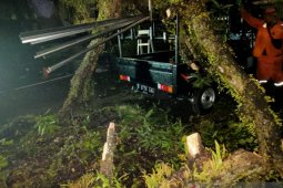 Akibat hujan, pohon tumbang timpa sejumlah mobil