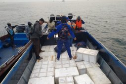 Polairud Kepri ungkap penyelundupan benih lobster senilai Rp66 miliar