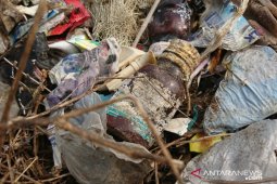 Pemkot Metro perketat pengawasan limbah B3