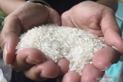 BI Malang ingatkan kenaikan harga komoditas pangan jelang akhir tahun
