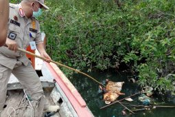 Tercemar bangkai babi, Dinkes Medan imbau warga tidak gunakan air Sungai Bederah