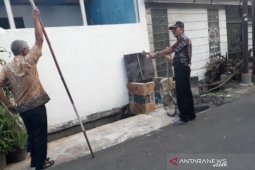 Anjing liar berkurang setelah diadopsi warga