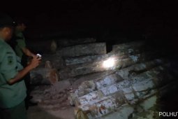 Tim patroli kehutanan temukan tumpukan Kayu Ilegal di Kahelaan