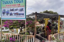 Masyarakat disarankan tanam tanaman obat keluarga di pekarangan rumah