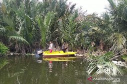 Ratusan bangkai babi di Danau Siombak dikubur massal