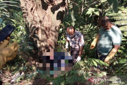 Biadap, Seorang anak mutilasi ayahnya yang berusia 87 tahun