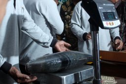 Lomba bandeng kawak