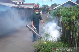 Dinkes Rejang Lebong waspadai peningkatan kasus DBD