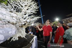 500 peserta ikuti Kontes Bonsai "Giri Wana Cup"