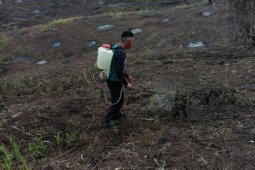 Tahura Paser jalin kemitraan dengan kelompok tani