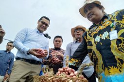 Kementan tantang produsen penuhi kebutuhan benih bawang merah di Tanah Air