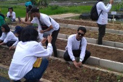 Swasta bersama LSM The Learning Farm Cianjur telah cetak ribuan  petani muda