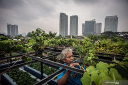 Geliat pertanian di tengah badai pandemi COVID-19