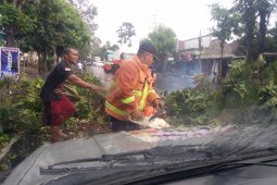 BPBD Tulungagung imbau warga siaga bencana jelang