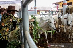 Kementan mendorong koperasi di Subang jadi percontohan korporasi peternak