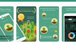 Forest, game tes kepribadian sedang viral di Medsos