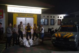 Polisi sita 11 kantong miras jenis cap tikus di Gorontalo