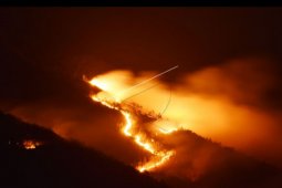Gunung Lawu terbakar