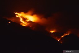 Magetan deploys 445 personnel to put out forest fire on Mt Lawu