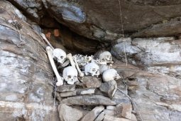 Warga temukan tengkorak kepala di dalam parit saat gotong royong