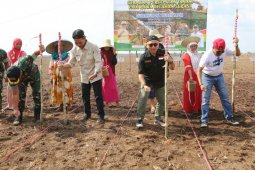 Kalsel buka lahan pertanian 250 ribu hektare melalui Serasi