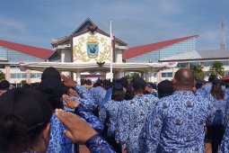 Formasi CPNS 2019 di Papua Barat segera dibuka