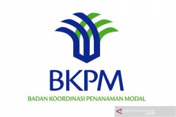 COVID-19 has impacted Indonesia's investment activities: BKPM