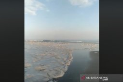 Pantai Teluk Sepang dipenuhi buih diduga buangan PLTU Bengkulu