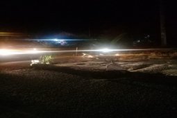 Jalinsum Pangkalan Brandan-Aceh ditanami pohon pisang dan kelapa sawit