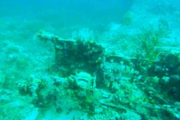 Bangkai pesawat Jepang ditemukan di Teluk Wondama Papua