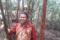 Warga Desa Namang bangun kawasan wisata Jembatan Pengantin