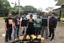 Dua warga Jawa Barat bawa 58 kg ganja ditangkap Polres Langkat