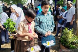 Pemeliharaan anak ayam jadi penilaian siswa di sekolah