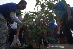 Ruang terbuka hijau Kota Cirebon baru 10 persen di bawah target pemerintah